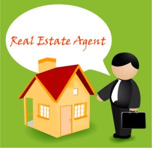 Real-Estate-Agent1